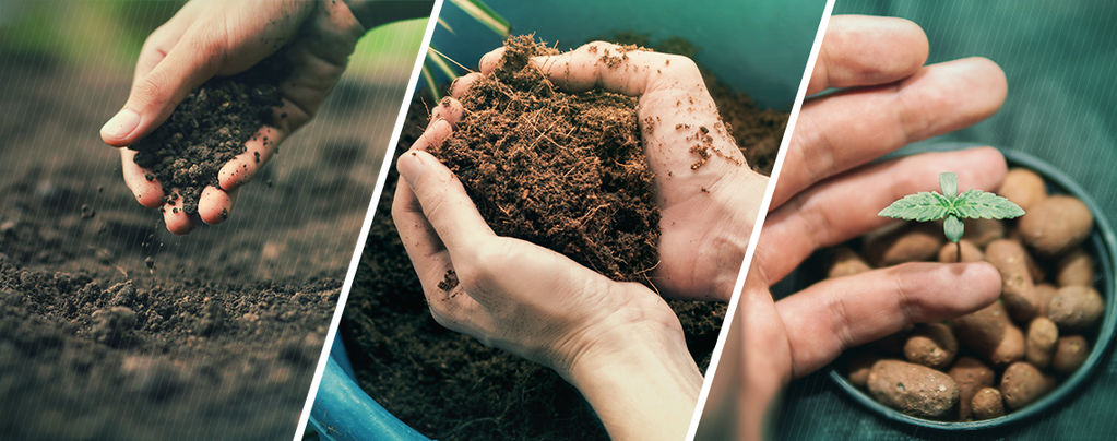 Soil, Coco Or Hydroponics