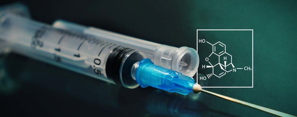 Nowe badania: jak wytworzyć morfinę z cukru i wody