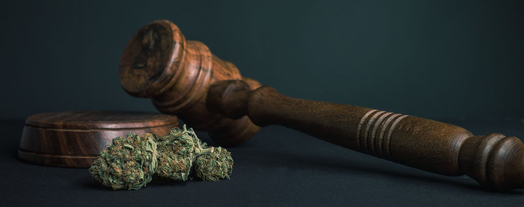 10 powodów, dla których WSZYSTKIE narkotyki powinny zostać zalegalizowane