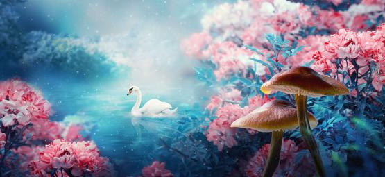 Czy grzyby halucynogenne wywołują „świadomy sen”?