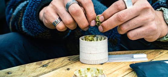 Kompletny poradnik o młynkach