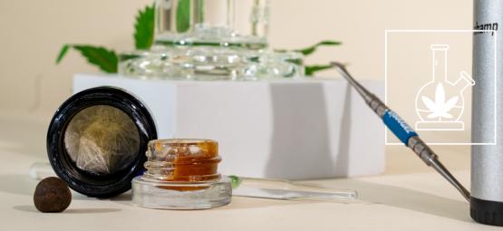 Ostateczny przewodnik po dabowaniu: wszystko, co musisz wiedzieć