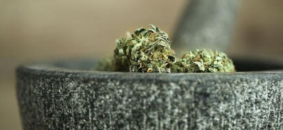 10 sposobów mielenia konopi bez młynka [aktualizacja 2025]