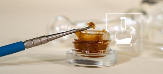 5 porad dla osób, które pierwszy raz dabują