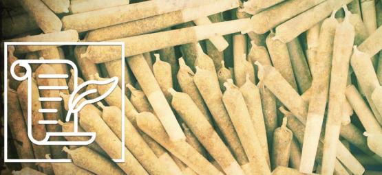 Kultura konopi: historia jointa