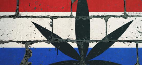 Oto top 10 najlepszych miejsc na palenie w Holandii