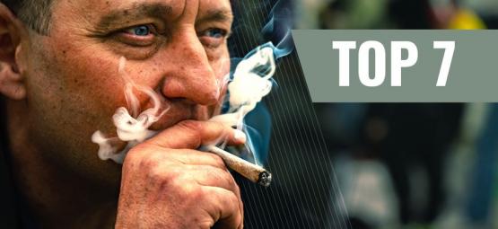 7 odmian konopi na motywację i wyższą produktywność