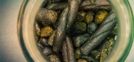 Czym jest czaras i jak ją zrobić