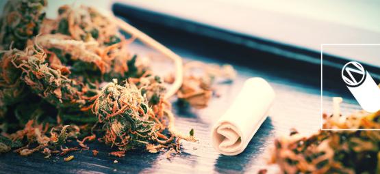 How to roll the perfect joint filter to elevate your smoking experience