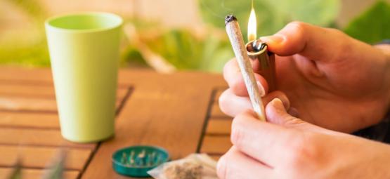 Wake and bake: najlepsze odmiany konopi na poranny buszek
