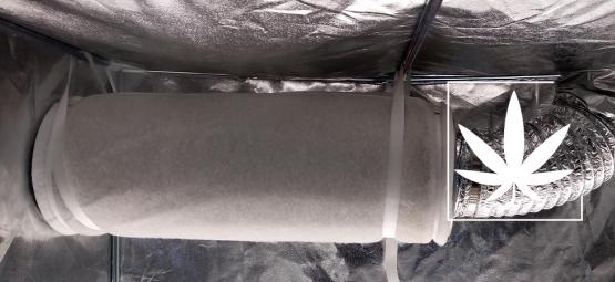 Jak stosować filtry węglowe, aby ograniczyć zapach konopi
