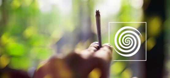 Czy na konopiach można doświadczyć efektów psychodelicznych?