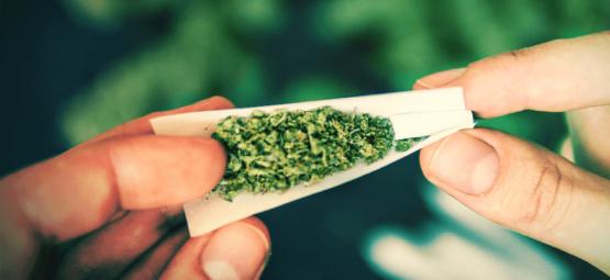 Dlaczego warto używać filtra podczas palenia