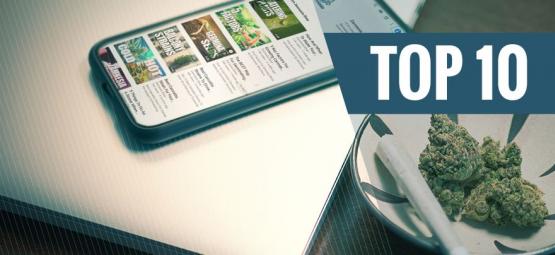 Top 10 kanałów YouTube dla miłośników konopi