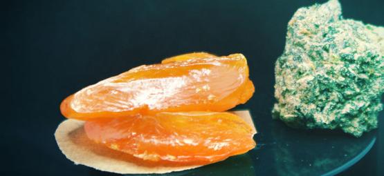 Czym jest BHO i jak zrobić BHO z konopi