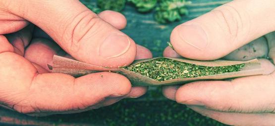 Jak skręcić idealnego blunta?