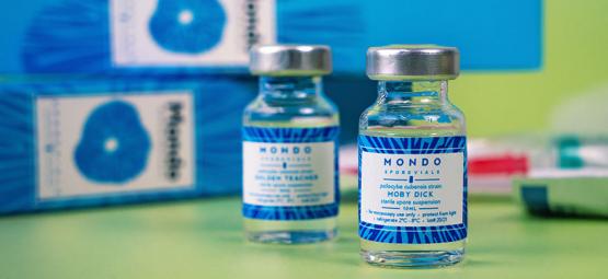 What is a magic mushroom spore vial?