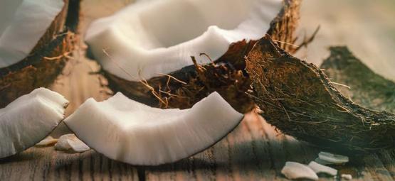 Czy można ponownie wykorzystać włókno kokosowe?