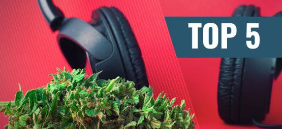 Top 5 podcastów do słuchania na fazie