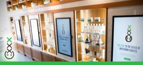 Centrum informacyjne coffeeshopu