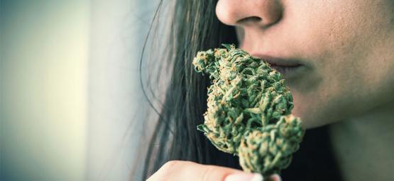 How to eliminate cannabis odour