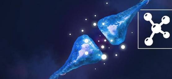 Czym jest układ endokannabinoidowy?