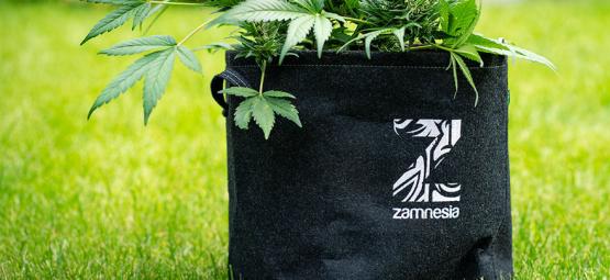 What Is A Smart Pot And How To Make Your Own