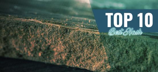 Top 10 najlepszego haszu w Amsterdamie