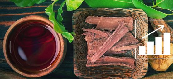 Jak uprawiać Banisteriopsis caapi z nasion