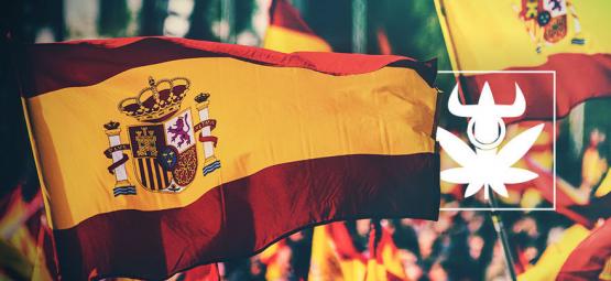 Top 10 hiszpańskich odmian klubowych konopi