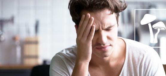 Jak wytrzeźwieć po tripie na grzybach