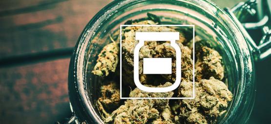 Jak przechowywać konopie, aby uniknąć pleśni