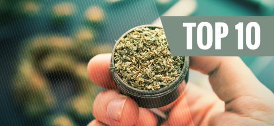 10 luksusowych akcesoriów dla miłośników zioła na każdą okazję