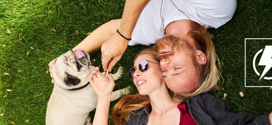 Najskuteczniejsze sposoby na wzmocnienie fazy po konopiach