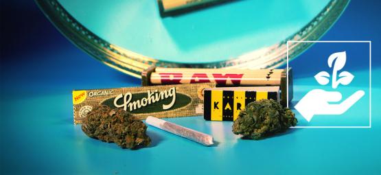 4 ekologiczne akcesoria dla każdego miłośnika konopi