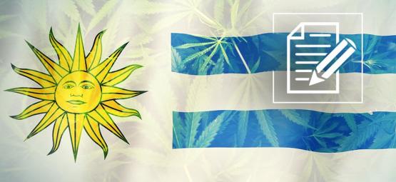 Urugwaj: od konopnego raju do chaosu