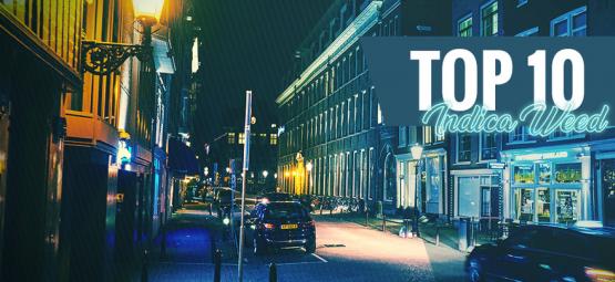 Top 10 najlepszych odmian indica w Amsterdamie