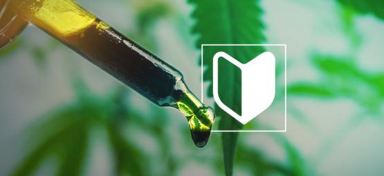 3 koncentraty z konopi idealne dla początkujących