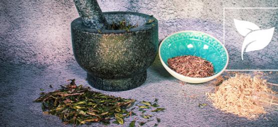 6 egzotycznych ziół, o których pewnie nie słyszałeś (ale warto je poznać)