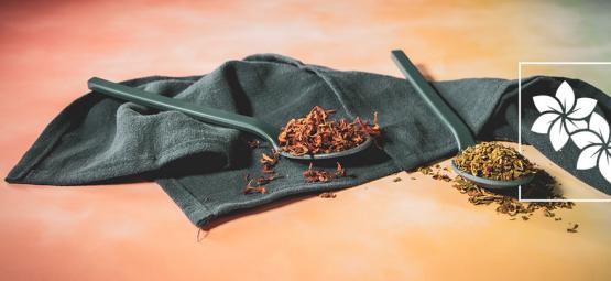 Wild dagga a klip dagga: czym się różnią?