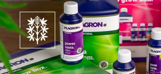 Wydobądź z roślin maksimum dzięki Plagron