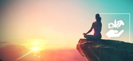 Ranking psychodelik: Od początkującego do duchowego przewodnika