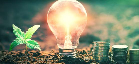 Jak obniżyć rachunki za prąd przy uprawie konopi w pomieszczeniach