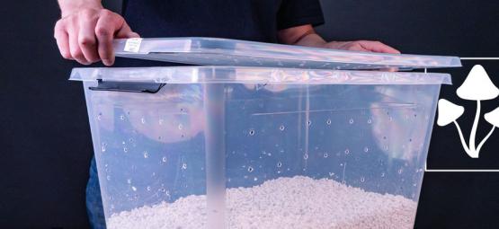 Jak zbudować komorę owocnikowania typu Shotgun (SGFC) do uprawy grzybów