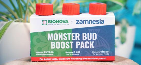 Stosuj Monster Bud Boost Pack, aby uprawiać bardziej aromatyczne i owocowe topy konopi