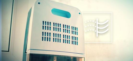 Czym są osuszacze powietrza i jak ich używać przy uprawie konopi?