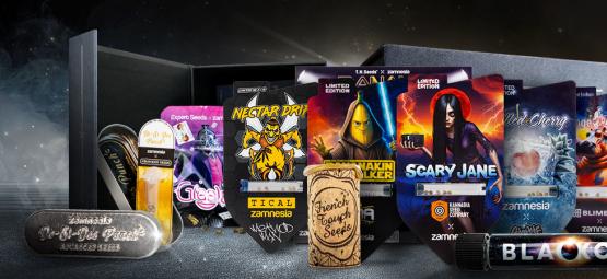 Limitowane odmiany od Zamnesia