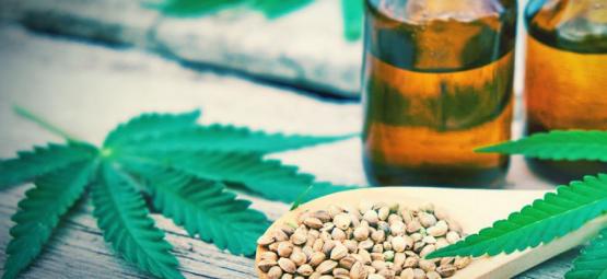 Jak zrobić edibles z koncentratów konopi