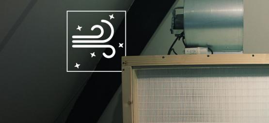 Jak zbudować komorę laminarną do uprawy grzybów