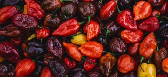 Top 20 najostrzejszych papryczek na świecie (edycja 2025)